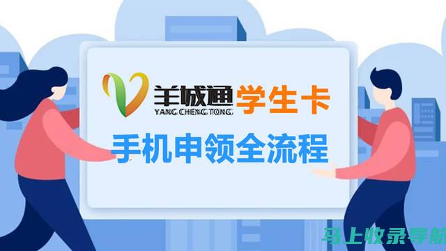 详细指南：使用百度SEO价格查询系统提升搜索引擎排名